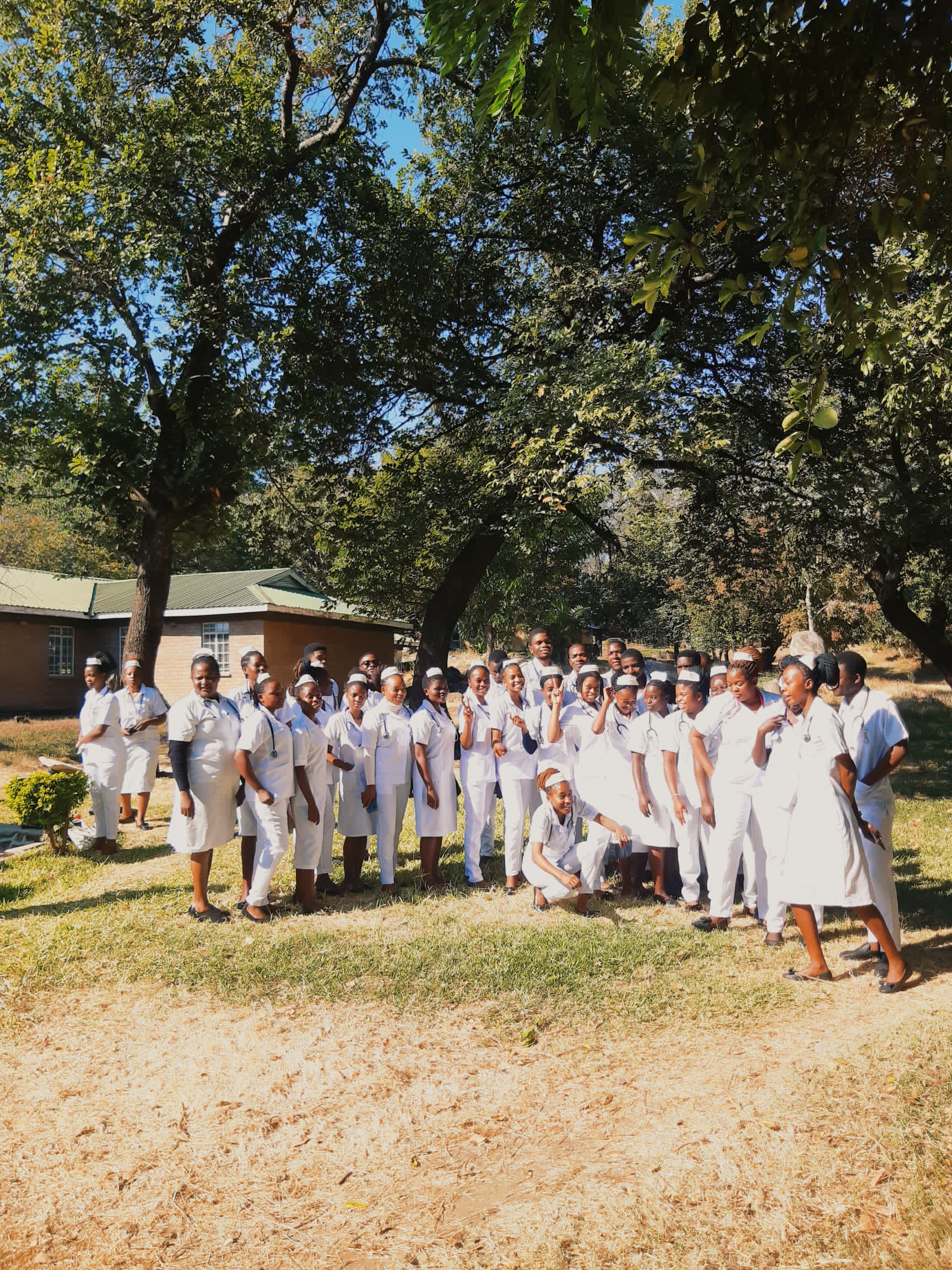 Diploma in Nursing and Midwifery Technician